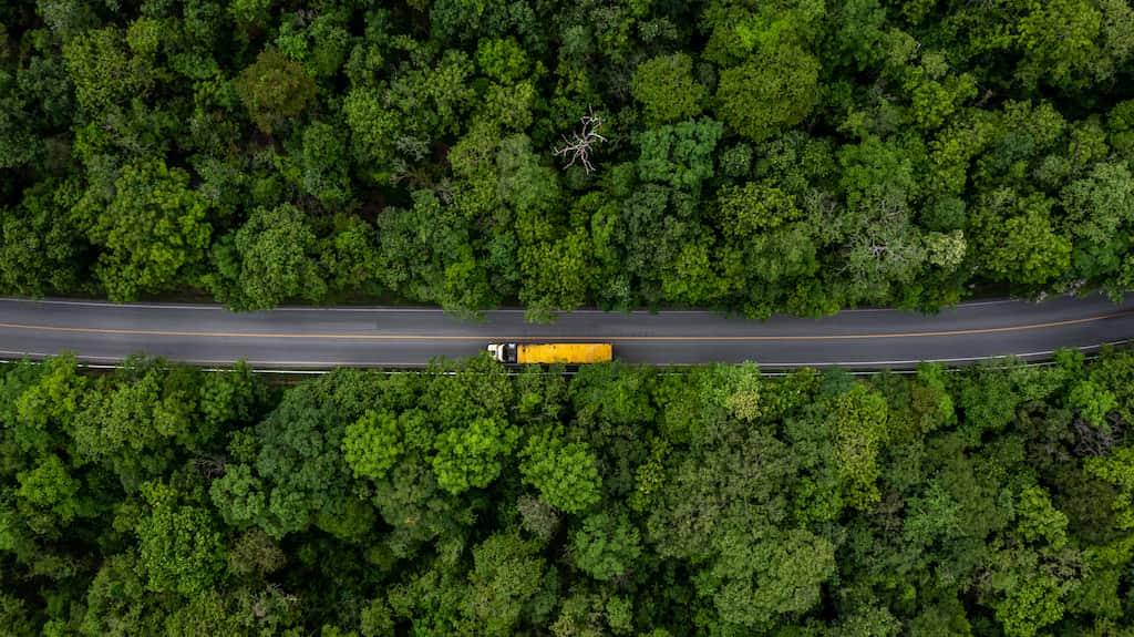 entreprise-de-logistique-et-de-transport-de-routes-forestières